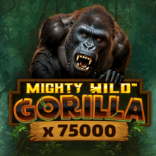 Gra slotowa VOX Casino